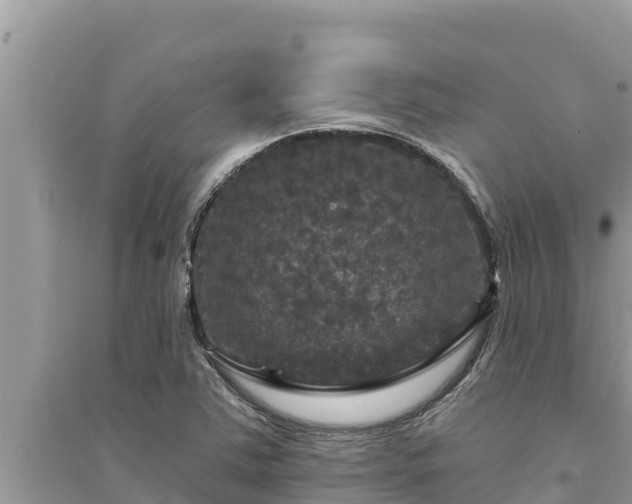 X0000095551363200712211400