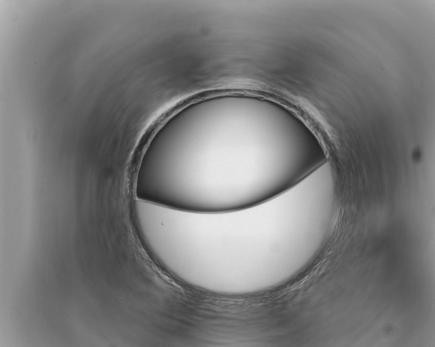 X0000095551364200712211400