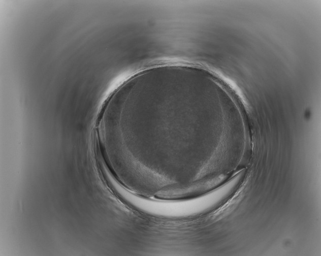 X0000095551365200712211400