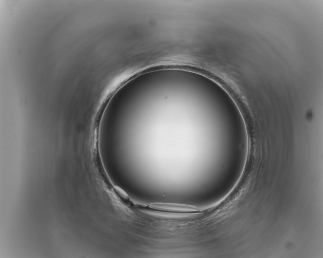 X0000095551366200712211400