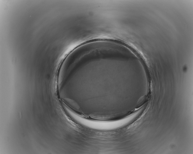 X0000095551367200712211400