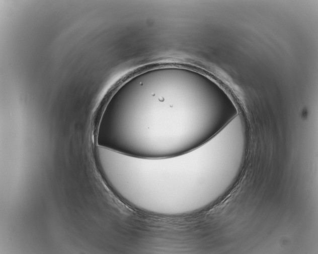 X0000095551368200712211400