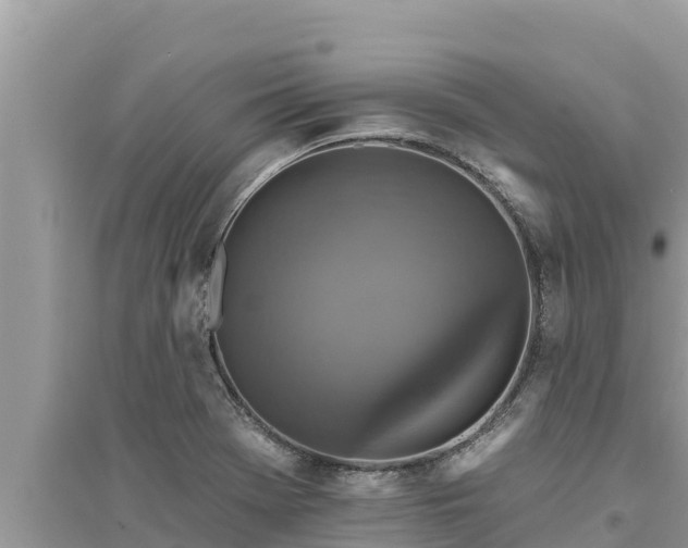 X0000095551369200712211400