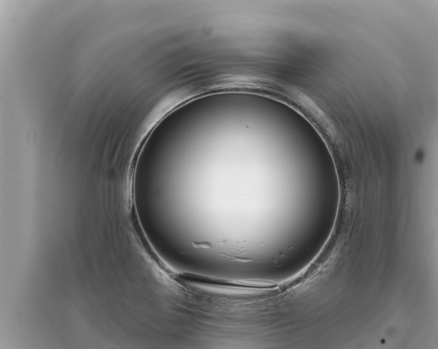 X0000095551370200712211400