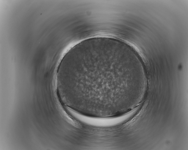 X0000095551371200712211400