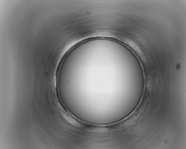 X0000095551372200712211400