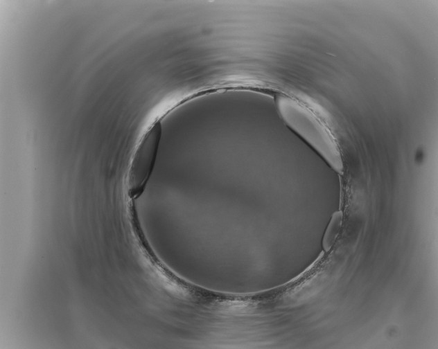 X0000095551373200712211400