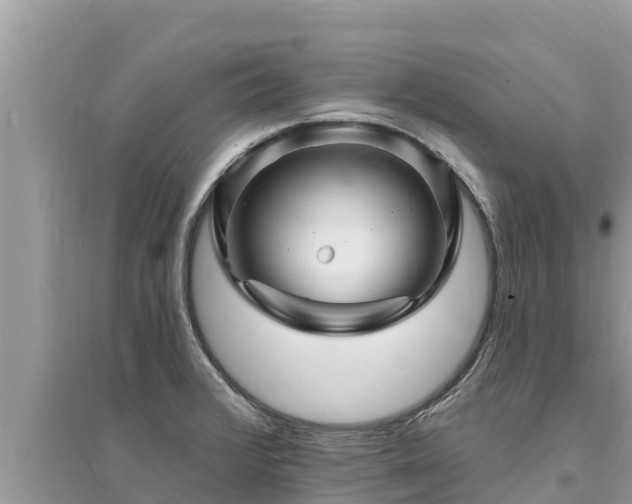 X0000095551376200712211400