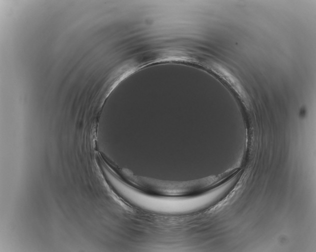 X0000095551377200712211400