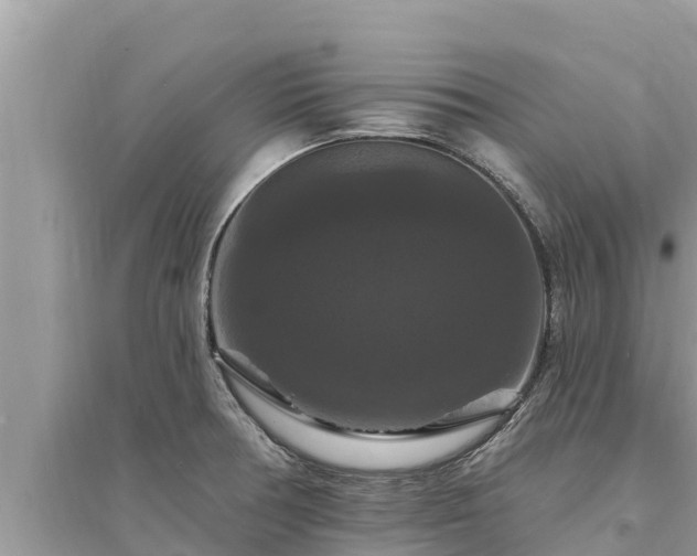 X0000095551378200712211400