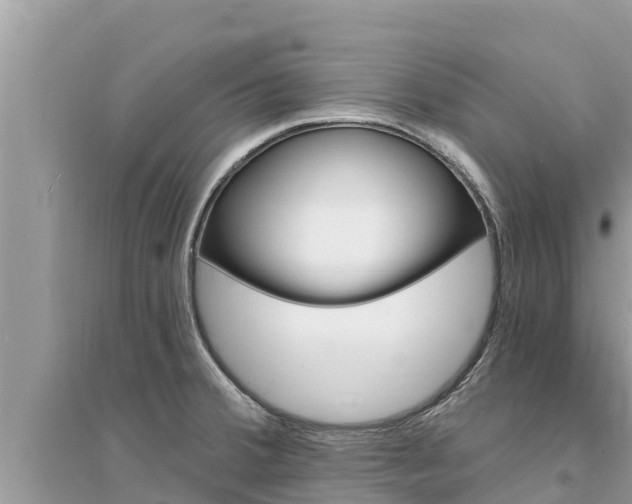 X0000095551380200712211400