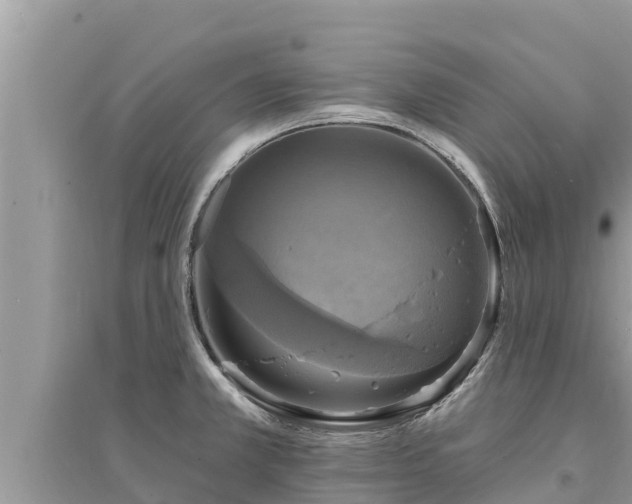 X0000095551381200712211400