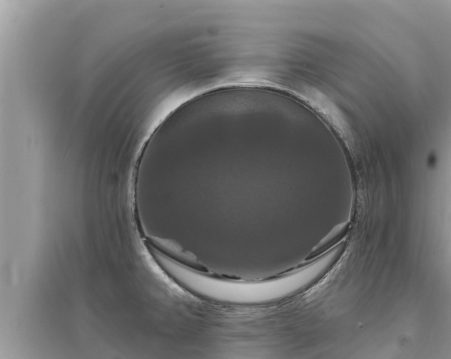 X0000095551382200712211400