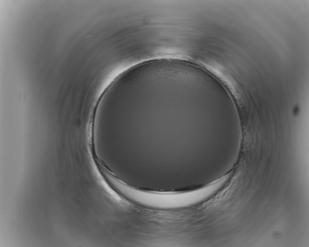 X0000095551383200712211400