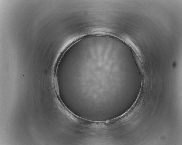 X0000095551384200712211400