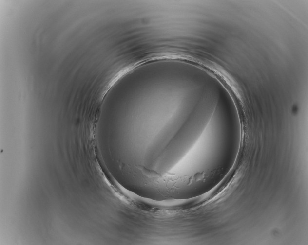 X0000095551385200712211400