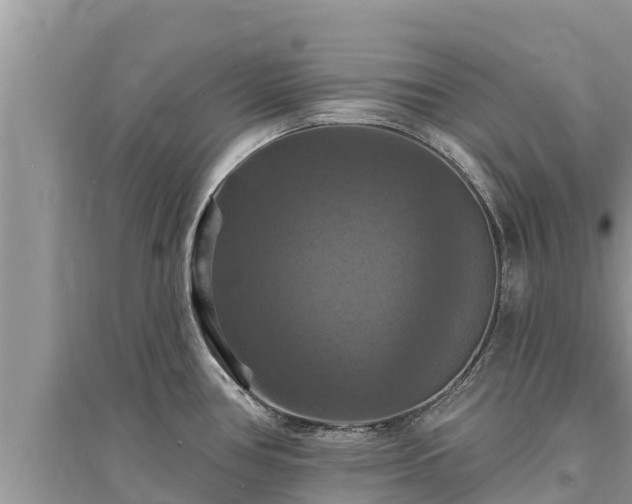 X0000095551386200712211400