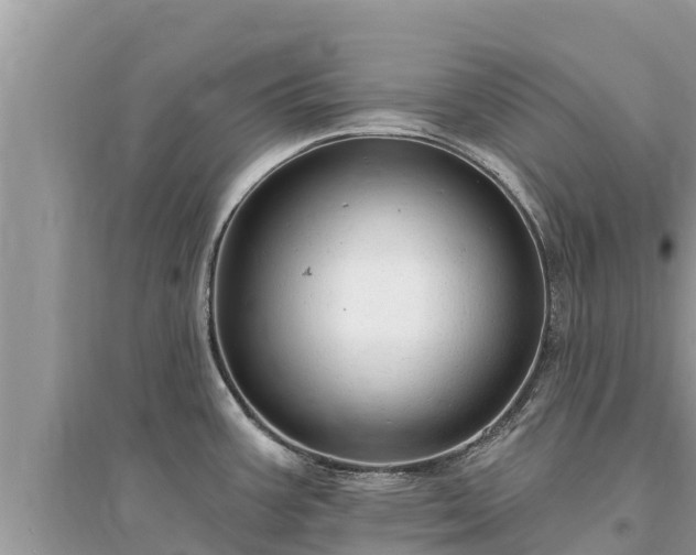 X0000095551387200712211400