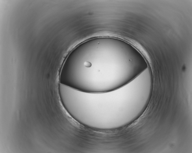 X0000095551388200712211400