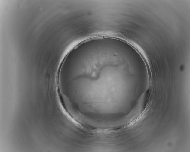 X0000095551389200712211400