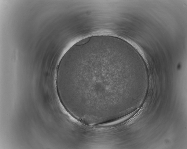 X0000095551390200712211400