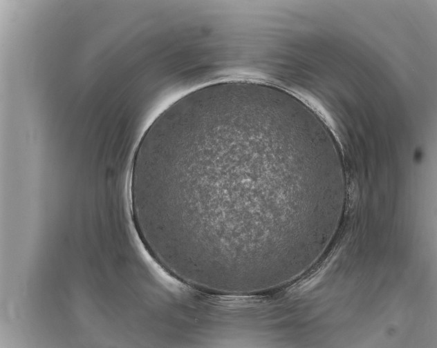 X0000095551391200712211400