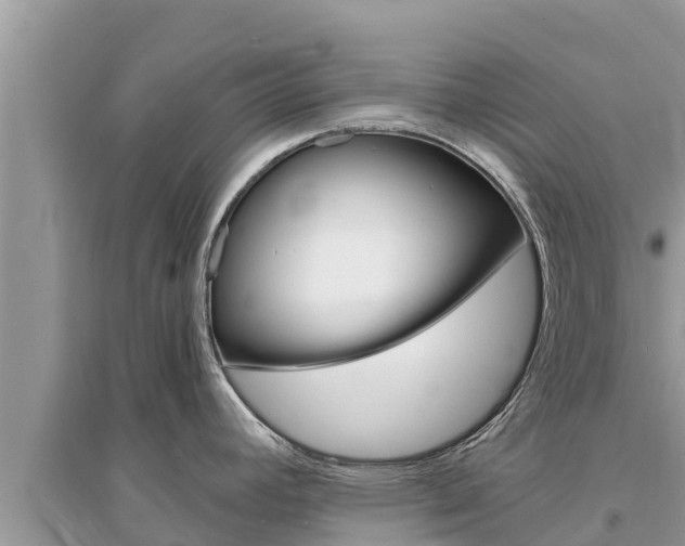 X0000095551392200712211400