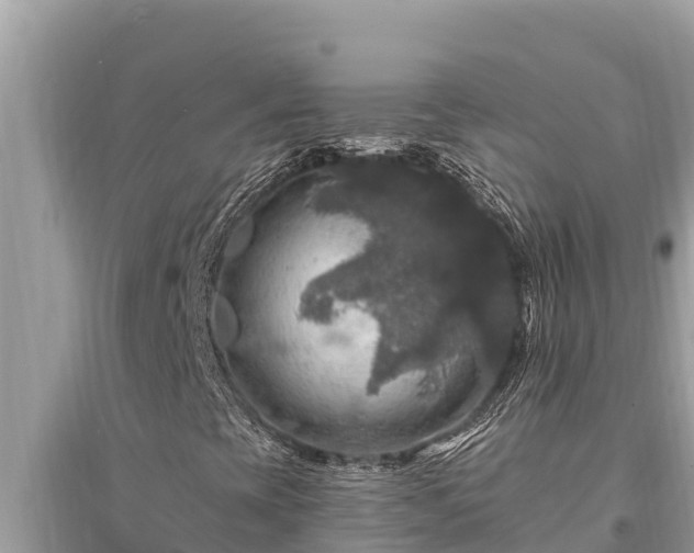 X0000095551393200712211359