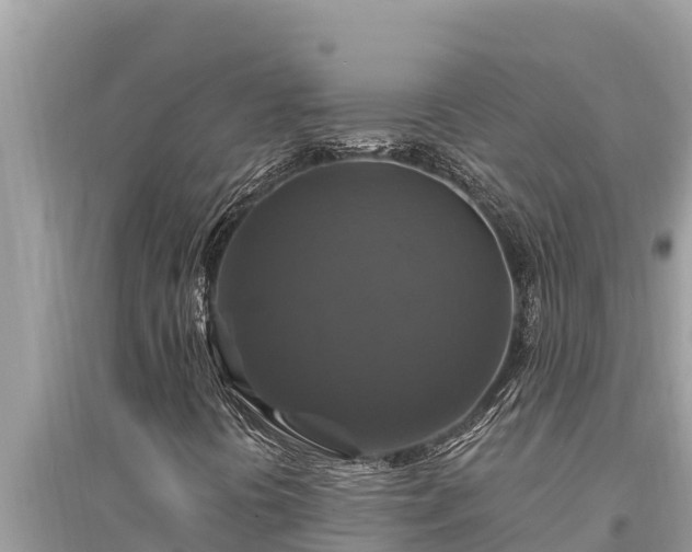 X0000095551394200712211359