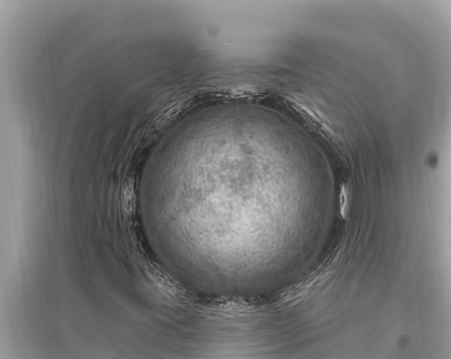 X0000095551395200712211359