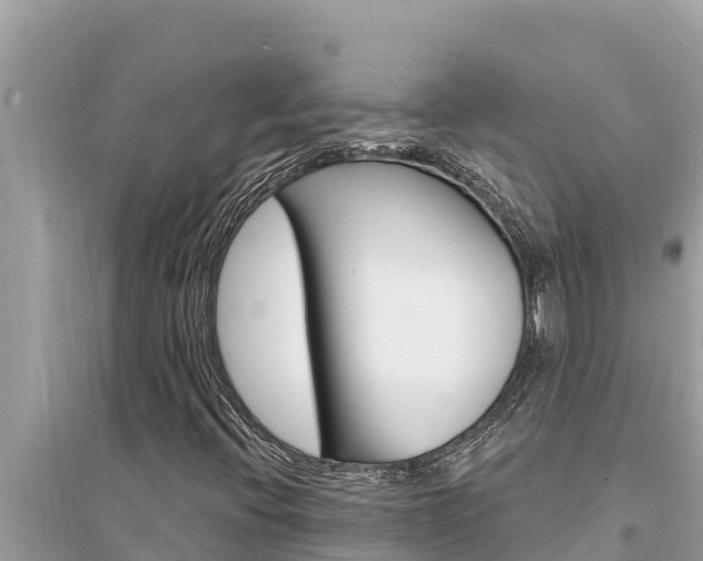 X0000095551396200712211359