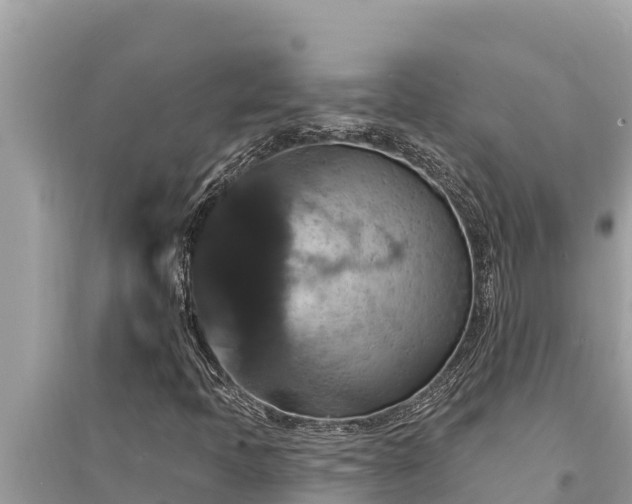 X0000095551397200712211359