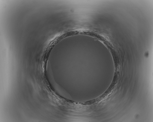 X0000095551398200712211359