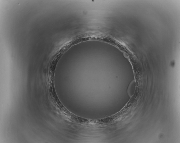 X0000095551399200712211359