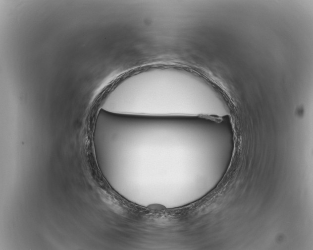 X0000095551400200712211359