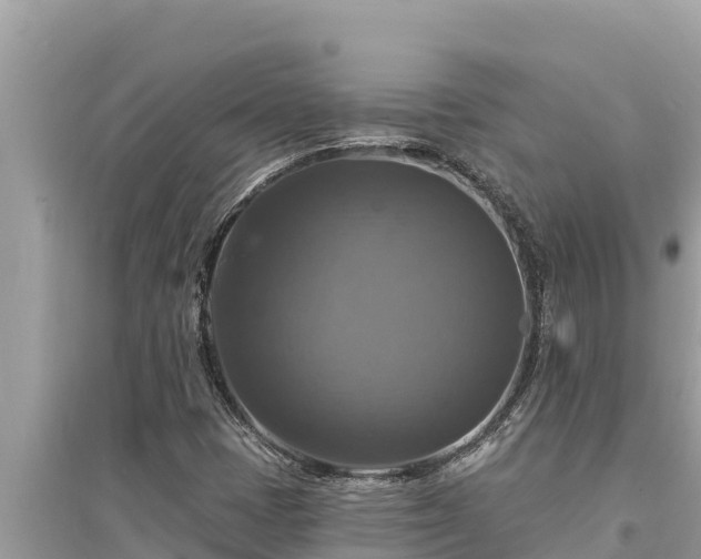 X0000095551401200712211359