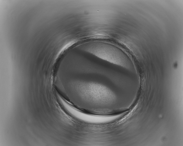 X0000095551402200712211359