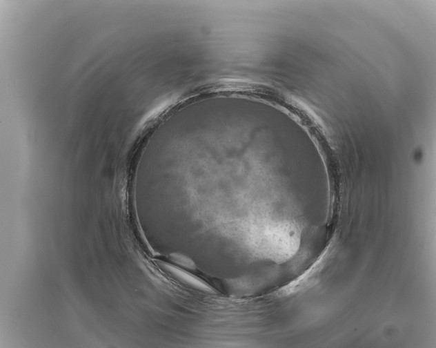 X0000095551403200712211359