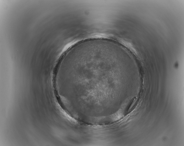 X0000095551404200712211359