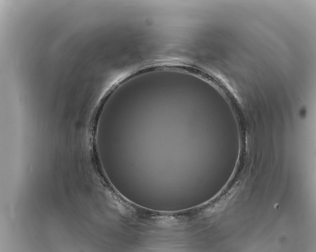 X0000095551405200712211359