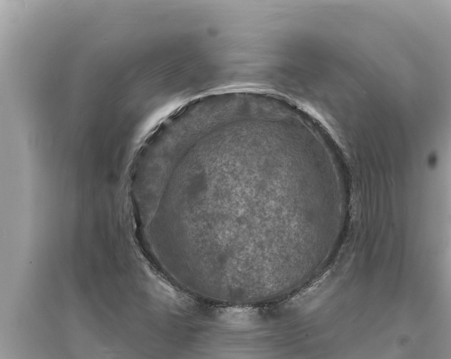 X0000095551406200712211359