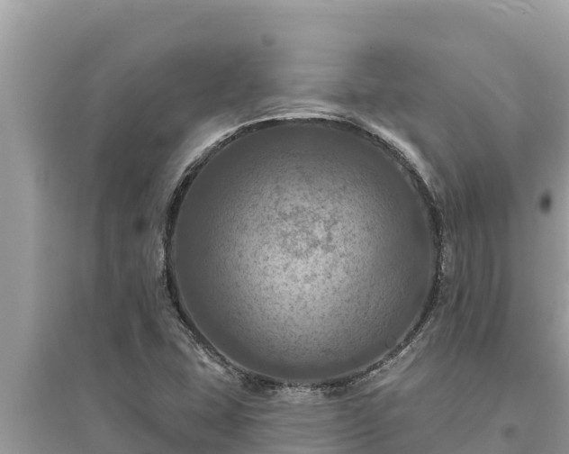 X0000095551407200712211359