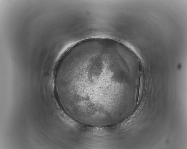 X0000095551408200712211359