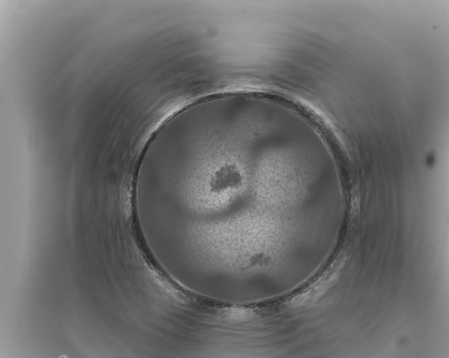 X0000095551409200712211359