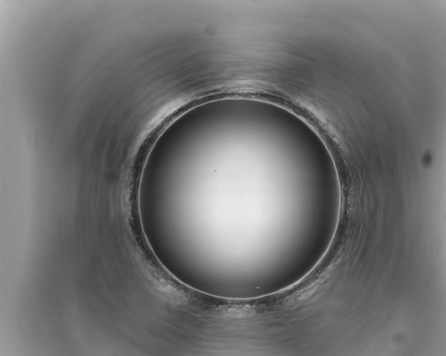 X0000095551410200712211359