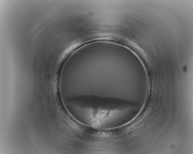 X0000095551411200712211359