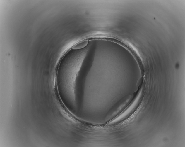 X0000095551413200712211359