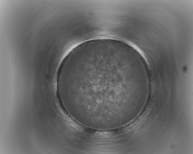 X0000095551415200712211359