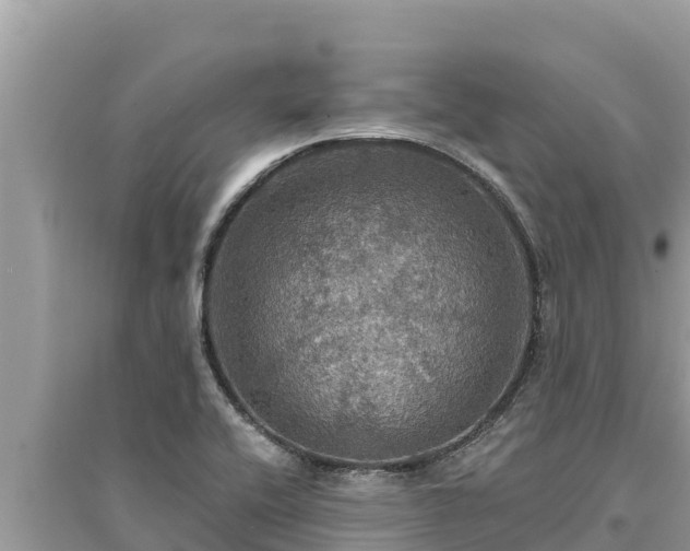 X0000095551416200712211359