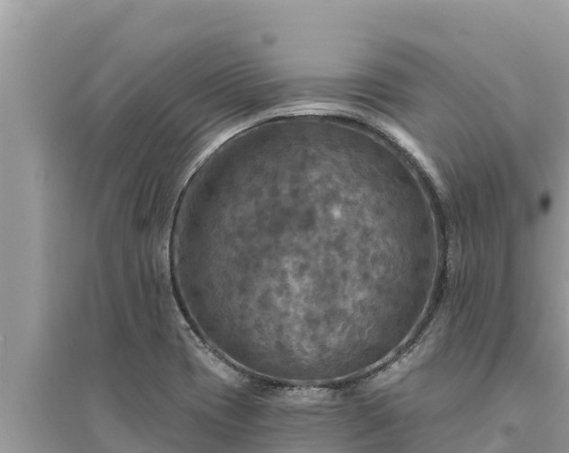 X0000095551417200712211400